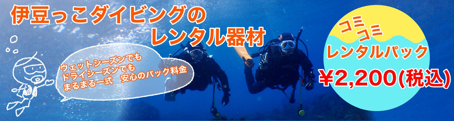 格安レンタルパック｜都心から最短90分で伊豆の海へ｜伊豆っこダイビング