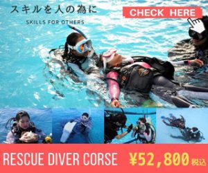 １０月４日・５日（土日）　レスキュー&EFR講習、参加者募集中！