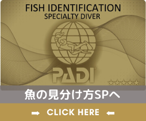 魚の見分け方SPへ