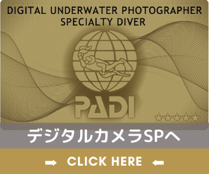 デジタルカメラSPへ