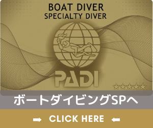 ボートダイビングSPへ