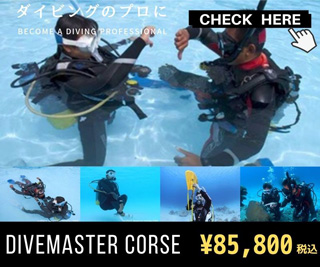 ダイブマスターコースの紹介へ