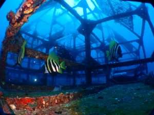 GW！5月5日（祝）熱海からフェリーで25分のリゾートへ！！初島ツアー満員御礼m(_ _)m