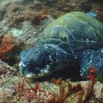 楽しい４連休☆2020-07-25