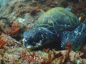 楽しい4連休☆2020-07-25