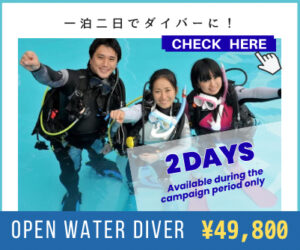 ダイバーになるには?