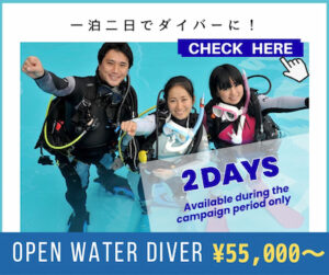 ダイバーになるには?