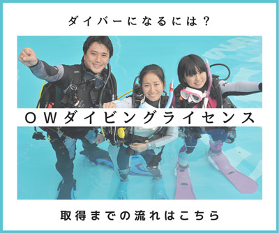 ダイバーになるには？