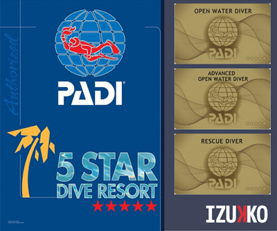 伊豆っこダイビングはＰＡＤＩ５スターダイビングショップ