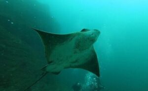 早いもので今日で８月も終了(;・∀・)。2020-08-31