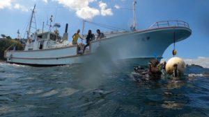 ２０２０年のお盆も残り僅か。2020-08-12