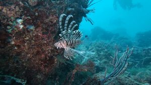 透明度、回復しました(^^♪。2020/09/18