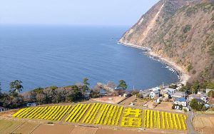 満員御礼m(_ _)m。6月18日(日)エンリッチ SP同時開催、井田ツアー!