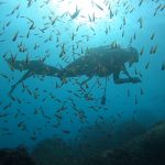 台風１４号明けは八幡野からスタートでした！2020-10-12