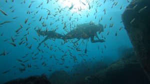 台風14号明けは八幡野からスタートでした!2020-10-12