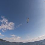 初島ツアーと絶好調の川奈(^^♪。2020-10-25