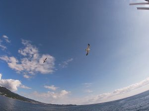 初島ツアーと絶好調の川奈(^^♪。2020-10-25