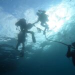 透明度バツグンの状態が続いています(*^▽^*)。2020-11-27