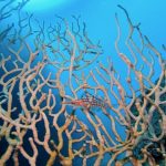 小春日和が続いてます♪ 2021-02-07