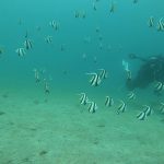 あっという間に3月も終盤・・(T_T)。2021-03-26