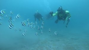 ボートポイント尾竜が大当たり(^^)。2021/04/03