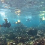 透明度良くなってきてます(^^♪。2021/04/16