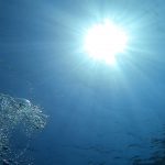 2022年1月8日(土)。その日のベストポイントツアー参加者募集中です!