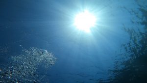 透明度さらにアップ(*^^)v。2021-04-19