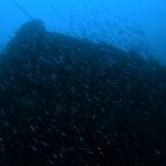 台風5号の影響??。2021/06/27