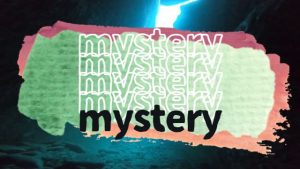 9月13日(水)平日開催☆ポイント当日発表、風まかせツアー。参加者募集中!