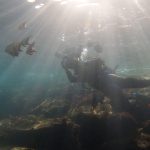 高い透明度とお魚いっぱいの時期です。2021-10-21