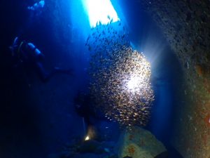 2月2日（日）雲見ボートツアー、絶景の水中洞窟！