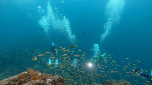 八幡野ボート「サザエ根」面白かった～!(^^)!。2021-11-7