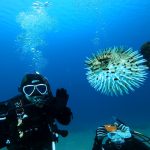 2021年もありがとうございましたm(__)m。2021-12-30