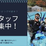 ダイビングスタッフ募集‼【伊豆っこダイビング】