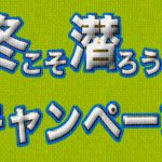 PADIキャンペーン冬こそ潜ろう‼豪華景品が抽選で当たる⁈