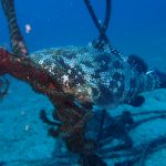 透明度回復～(/・ω・)/楽しいビーチ♪　2022-03-10