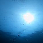 黒潮到来で水温・透明度ともにUPです(^^)。2022-04-21