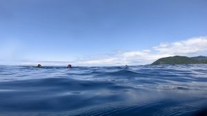 いよいよGWスタート!2連チャンのツアーから始まりました 2022-04-30