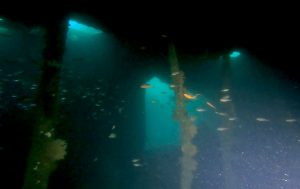 熱海沈船&ビダカ根でダイビング! 2022-05-14