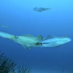 嬉しい透明度UP! 2022-05-21