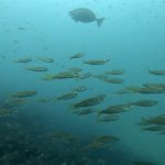 本日は講習デー♪ナビSPにAOWでした 2022-06-23