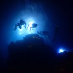 8月5日(土)八幡野1ビーチ1ボート&ナイトダイブツアー‼参加者募集中