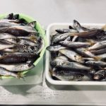 海の恵み