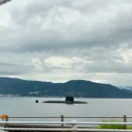 大きな黒影の正体