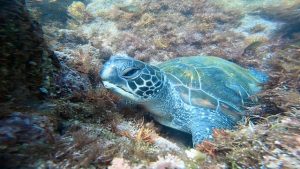 6月の猛暑でしたね~ 2022-06-30