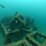 川奈ボート、NEWポイント登場!