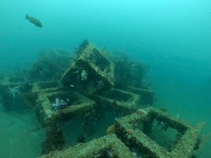 川奈ボート、NEWポイント登場!