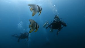 ２０２２年のお盆も終了(^^