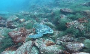 いよいよ９月、ベストシーズン到来‼　2022-09-02